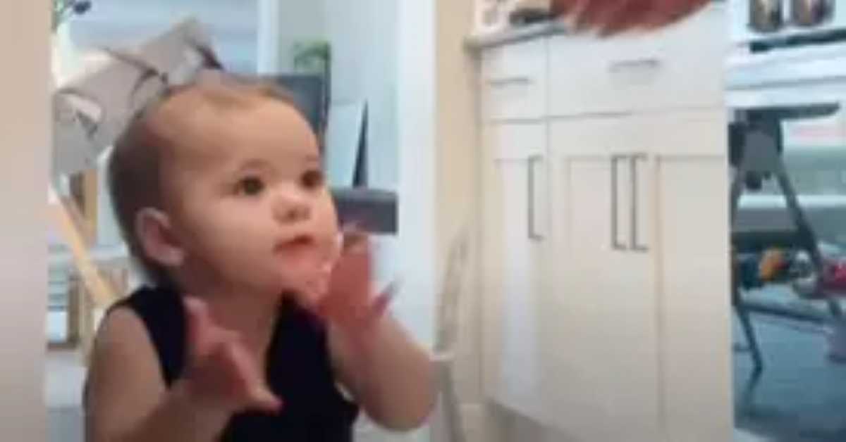 A toddler with a big bow on her head claps her hands while looking up at an adult in a brightly lit kitchen.