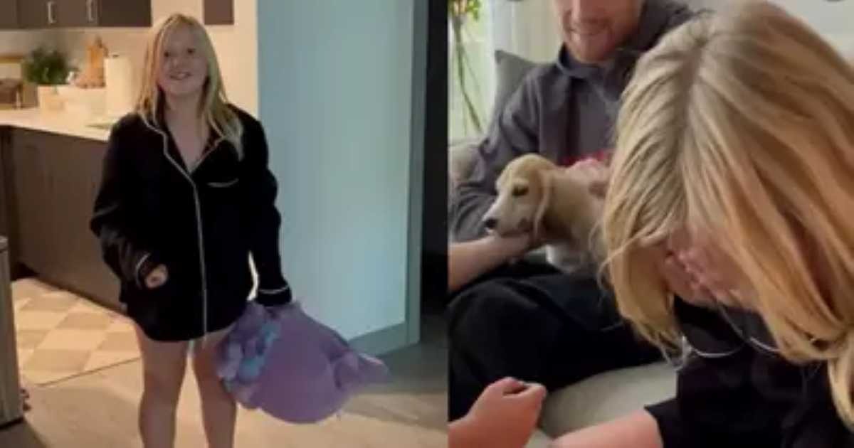 A young girl in pajamas smiles while holding a purple stuffed animal, then reacts emotionally as she receives a puppy as a surprise gift from her family.