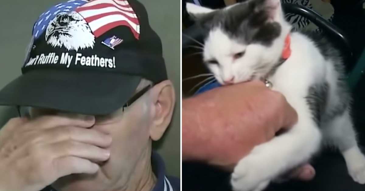 An elderly man wearing a cap that reads "Don't Ruffle My Feathers!" with an American flag and eagle design wipes away tears while appearing emotional. Next to him, a white and gray cat gently bites and holds his arm in a seemingly affectionate or protective gesture.