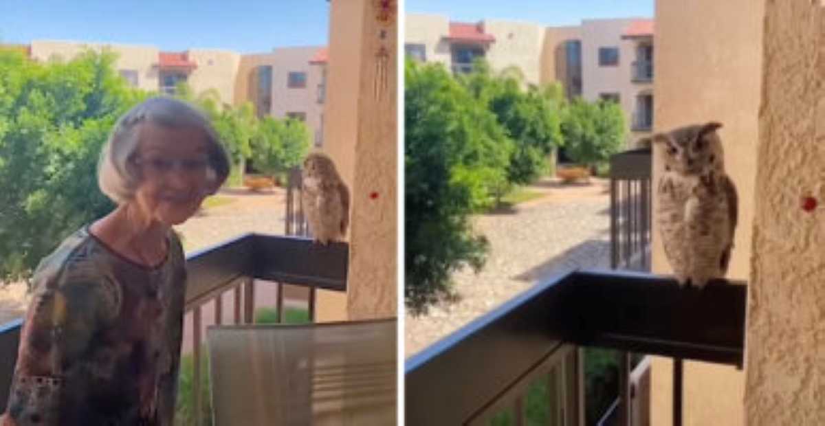 A smiling elderly woman stands on her patio next to a perched owl, with apartment buildings and trees visible in the background.