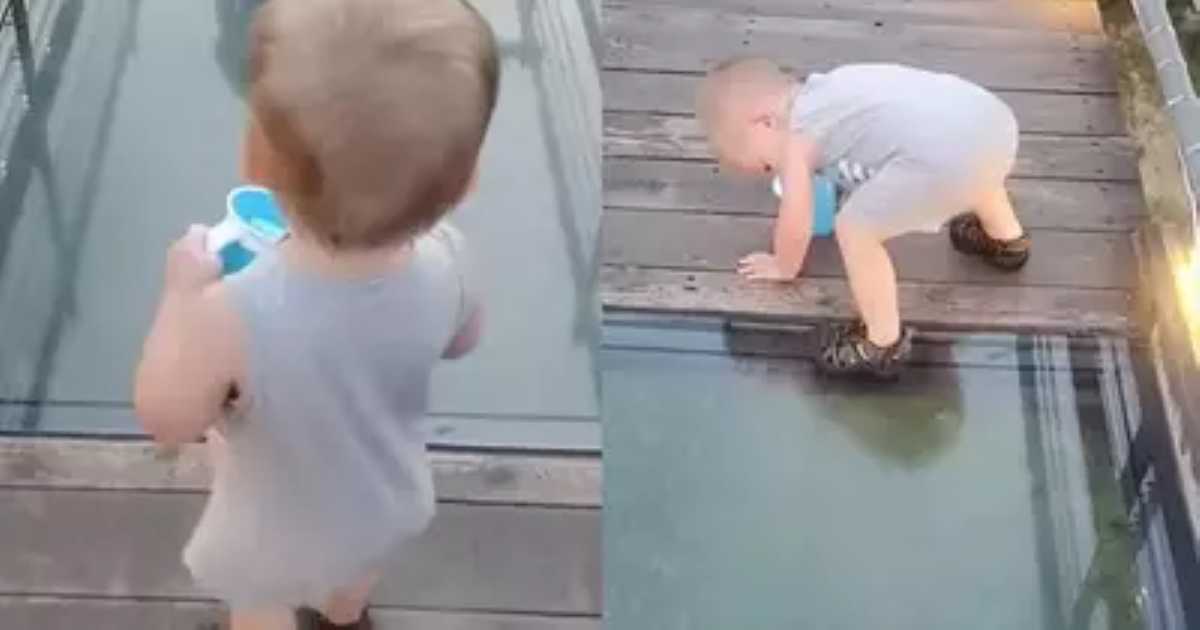 Toddlers Hilarious and Priceless Reaction to Glass Bridge grandmawise.com