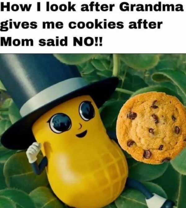 Cartoon peanut in a top hat smiling while holding a chocolate chip cookie with text about Grandma giving cookies after Mom said no.