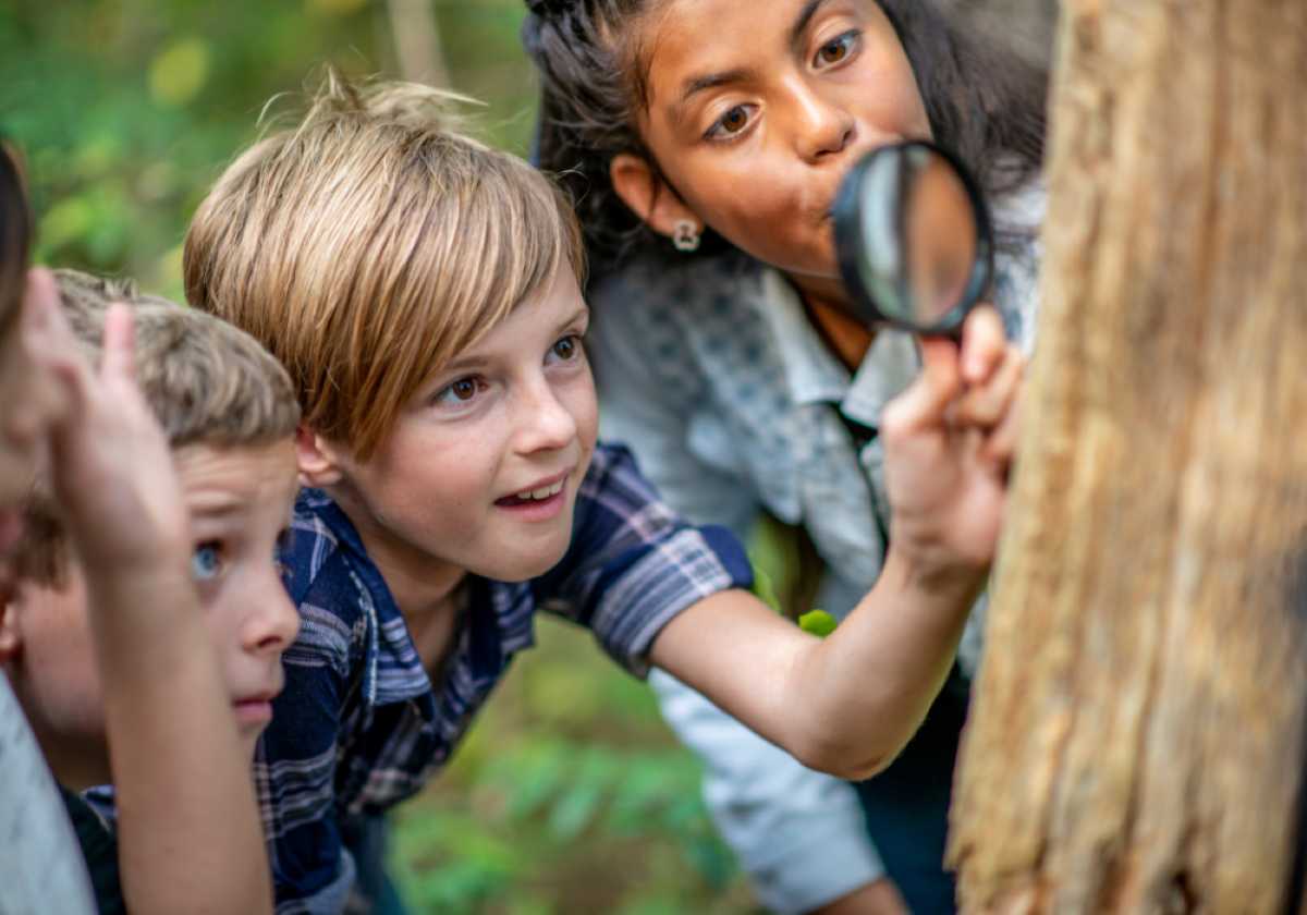 Curious kids examine a tree closely using a magnifying glass during an outdoor nature exploration.
