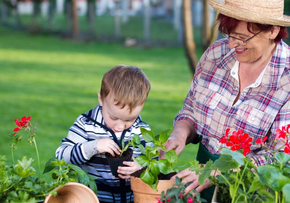 Smiling grandmother and young boy plant flowers together in a sunny garden.
