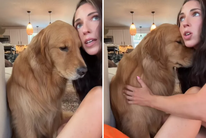 An image shows the poster comforting her golden retriever who is feeling sad after grandma left.