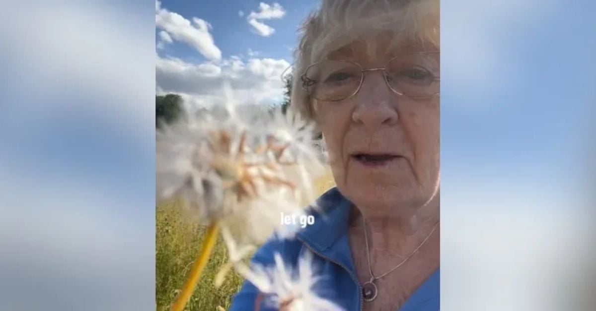A close-up of a dandelion puff against a bright blue sky and fluffy clouds, symbolizing the theme of letting go.