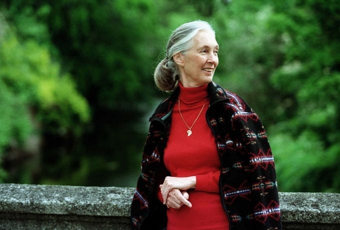 Woman in a red turtleneck and patterned jacket smiling while standing outdoors near a stone railing with lush greenery behind her.