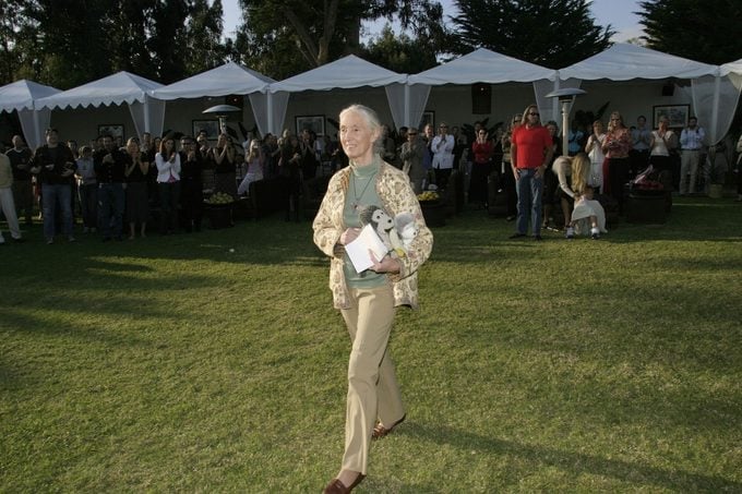 Woman walking across a lawn at an outdoor event, holding stuffed animals and papers, as a crowd watches in the background.