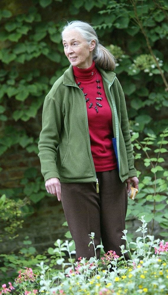 Woman with gray hair in a ponytail walking through a garden, wearing a green jacket and red shirt.