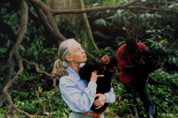 Woman hugging a young chimpanzee in a lush forest, eyes closed in a peaceful moment.
