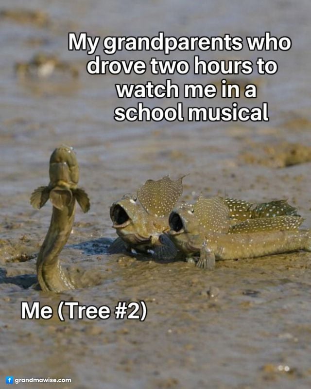 12 Things Grandparents Do That Should Never Be Taken for Granted 3 Two small mudskipper fish on muddy ground facing each other, one upright like a stick, representing a child joking about being barely noticeable in a school musical their grandparents traveled to watch.