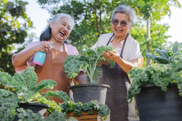 7 Easy Hobbies the Happiest Women Over 60 Are Falling in Love With 4 Two older women laugh together while tending leafy green vegetables in a sunny garden, wearing gardening aprons and enjoying their time outdoors.